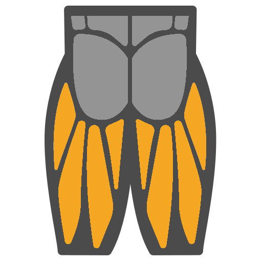 Legs workout icon